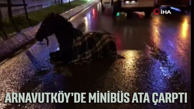 Arnavutköy’de minibüs ata çarptı
