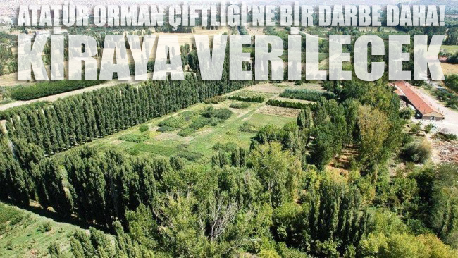 Atatürk Orman Çiftiği’nin 70 dönümü kiraya çıkarıldı